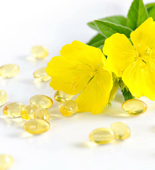 evening-primrose-oil